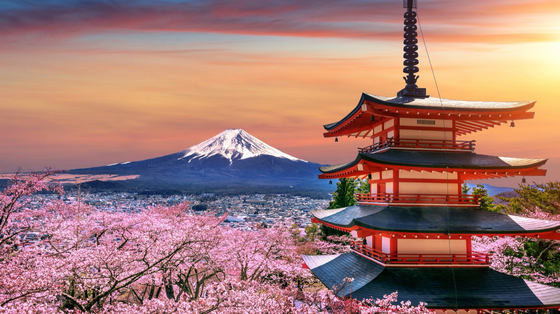 Chureito Pagoda and Mount Fuji behind cherry blossoms at sunset — comparing the best eSIM for Japan